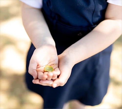 oakmeade-website-academics-pre-prep5